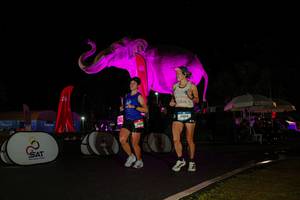 BIB: 
                            <button type="button" onclick="openModal(26543674)" class="btn btn-primary btn-sm float-right btn-popup" data-toggle="modal" data-target=".modal-high-quality">
                        <i class="fas fa-shopping-cart"></i> Add to Cart
                    </button>
                                            <button type="button" onclick="isThisMe(26543674, true)" class="btn btn-success btn-sm float-right btn-popup btn-isme hidden" data-toggle="tooltip" data-placement="bottom" title="นี่คือรูปของคุณใช่ไหม คลิกที่นี่เพื่อเอาเข้าอัลบั้ม">
                        <i class="fas fa-plus"></i> Add to album
                    </button>
                    <button type="button" onclick="isThisMe(26543674, false)" class="btn btn-warning btn-sm float-right btn-popup btn-isnotme hidden">
                        <i class="fas fa-ban"></i> Remove from album
                    </button>